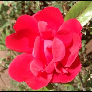 Meet your Posher, Graciela